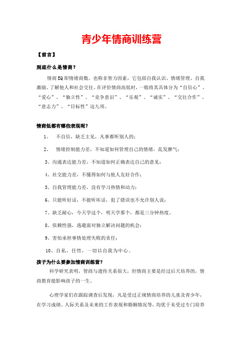 青少年情商训练营