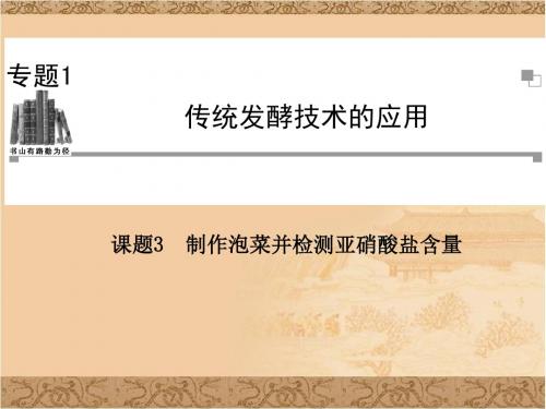 高二生物ppt课件制作泡菜并检测亚硝酸盐含量课件