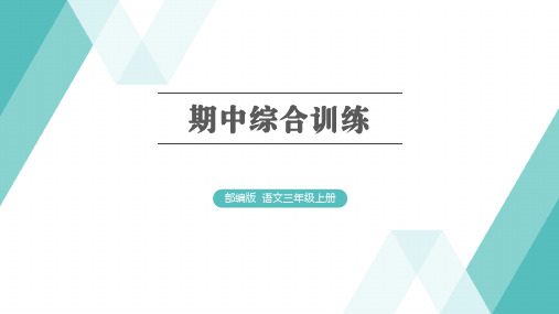 部编版语文三年级上册期中综合训练PPT课件