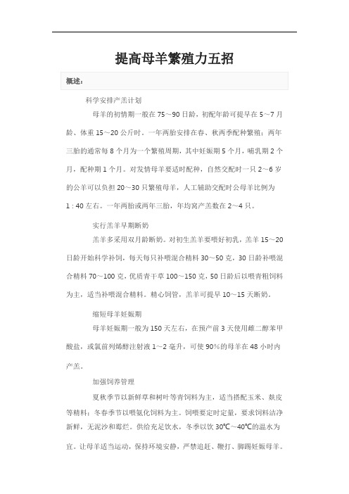 提高母羊繁殖力五招