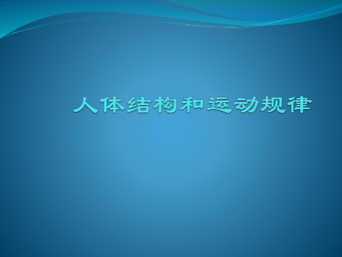 人体结构和运动规律