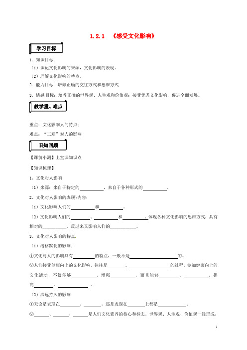 高中政治 _《感受文化影响》导学案 新人教版必修