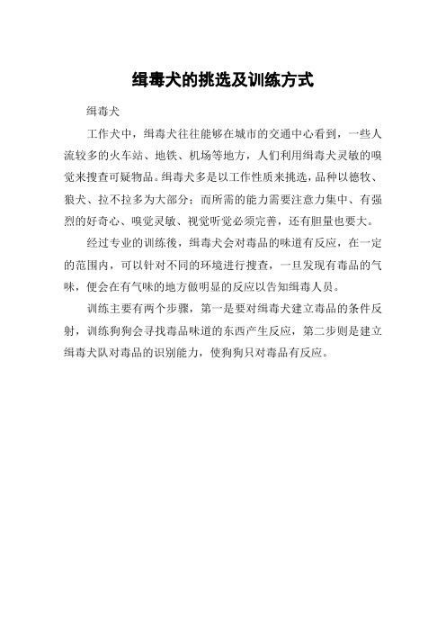缉毒犬的挑选及训练方式