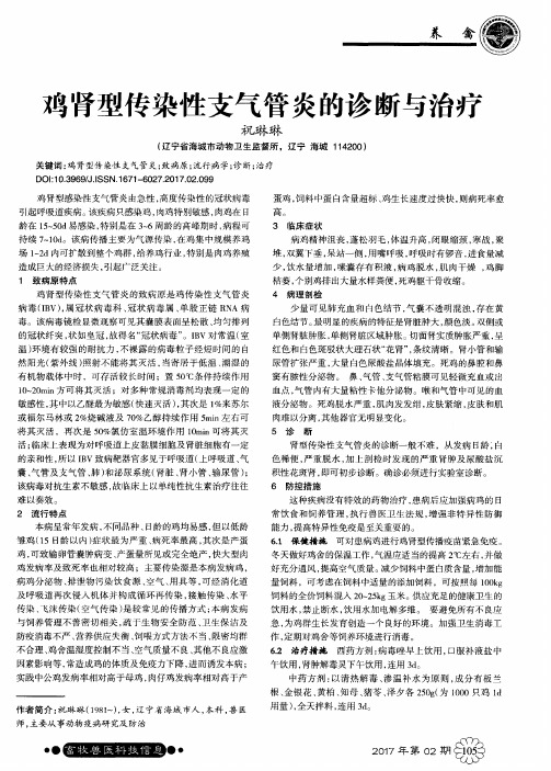 鸡肾型传染性支气管炎的诊断与治疗