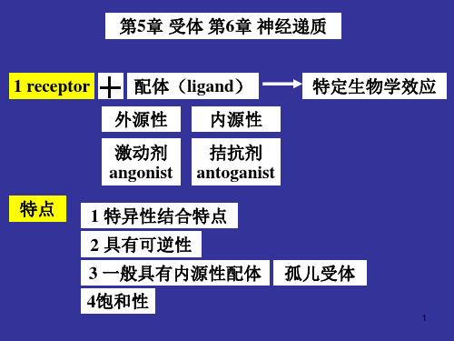 神经生物学神经递质和受体ppt演示课件