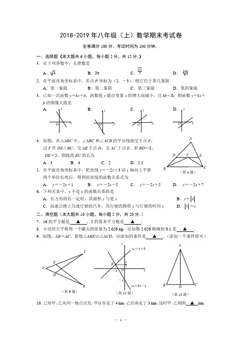 2018-2019年八年级(上)数学期末考试卷