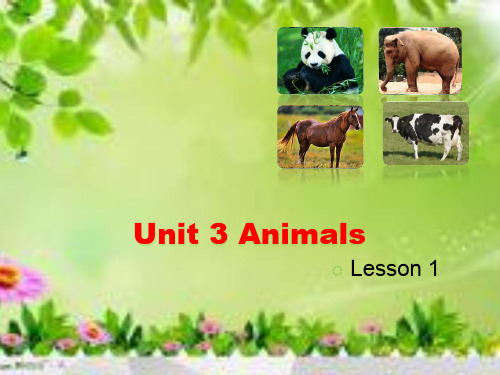 部编小学英语五年级上《Lesson 1》牛月PPT课件 一等奖新名师优质公开课获奖比赛人教