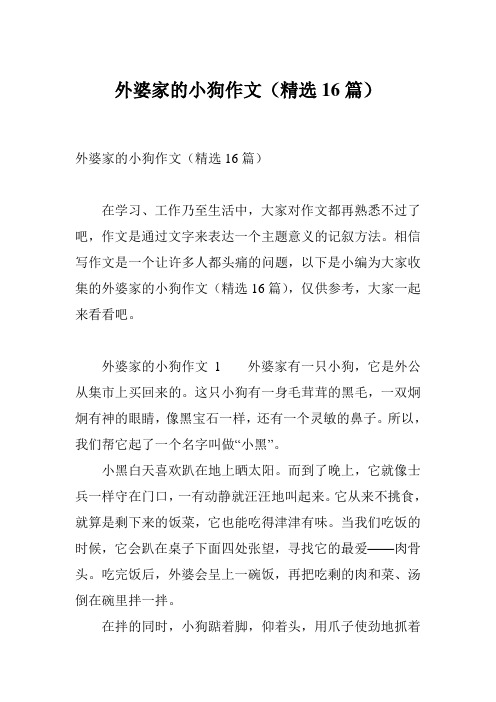 外婆家的小狗作文(精选16篇)