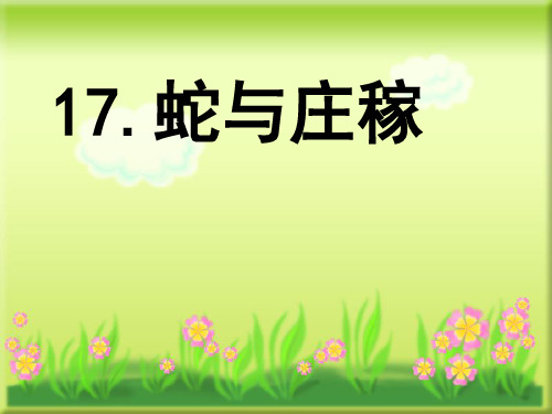 蛇与庄稼
