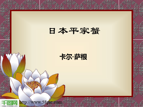 简洁语文课件PPT模板