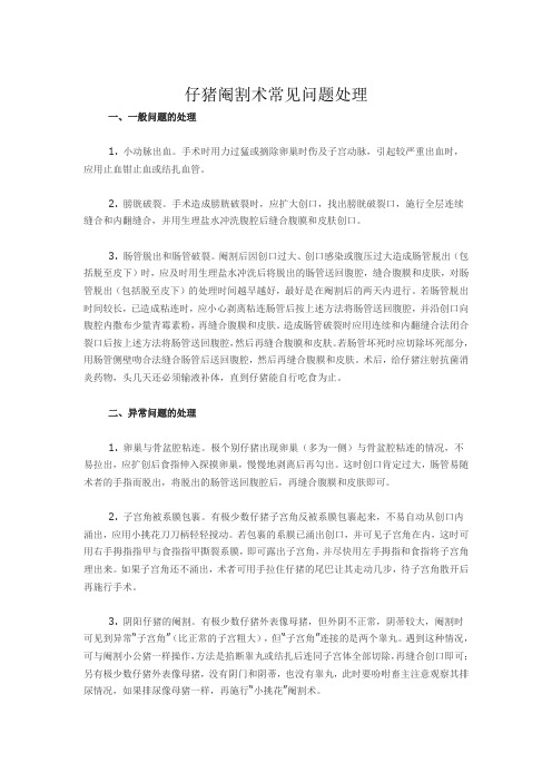 仔猪阉割术常见问题处理