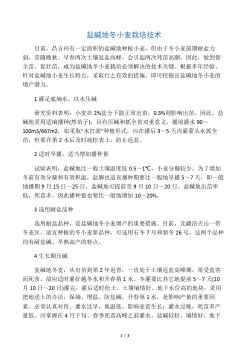 盐碱地冬小麦栽培技术