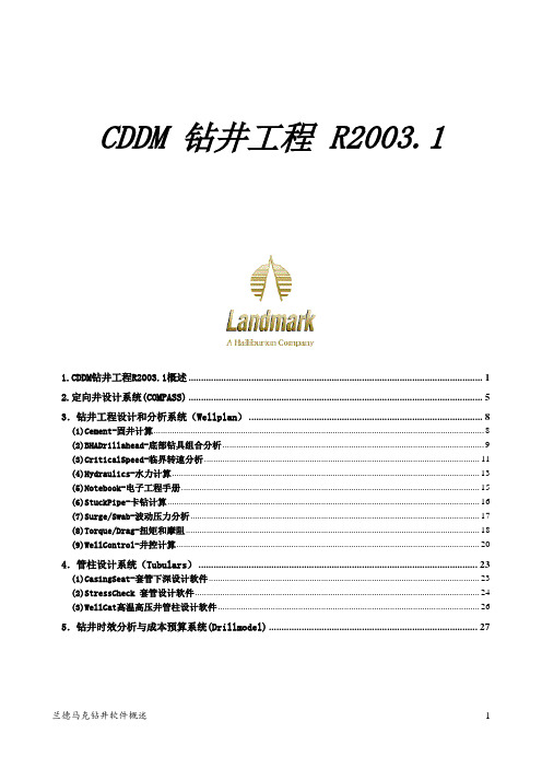 CDDM 钻井工程 R2003.1软件概述