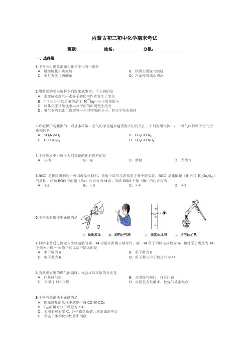 内蒙古初三初中化学期末考试带答案解析
