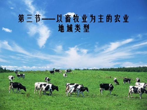 以畜牧业为主的农业地域类型