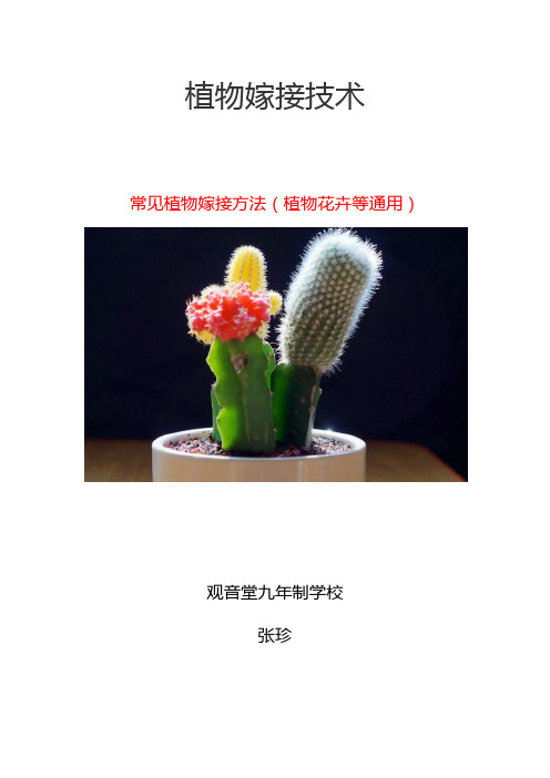 植物嫁接技术
