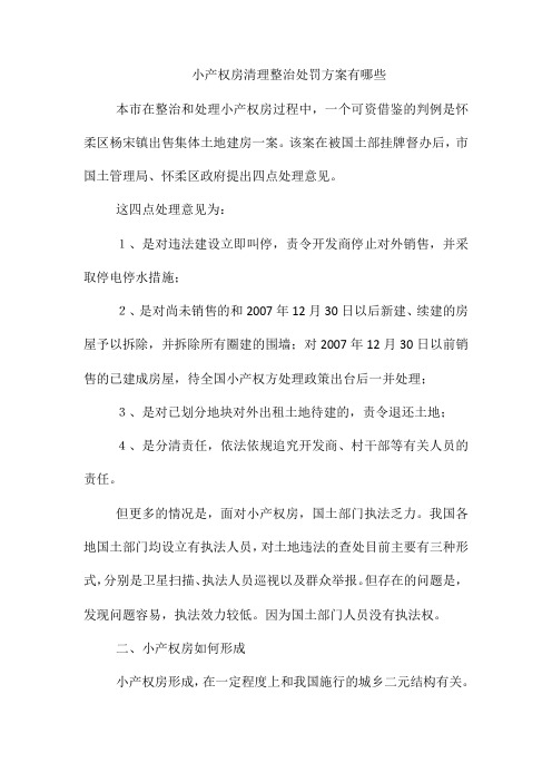 小产权房清理整治处罚方案有哪些