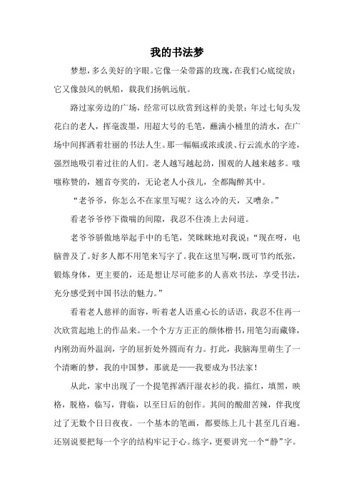 小学生优秀作文《我的书法梦》