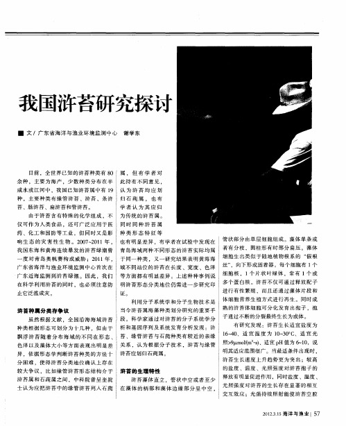 我国浒苔研究探讨