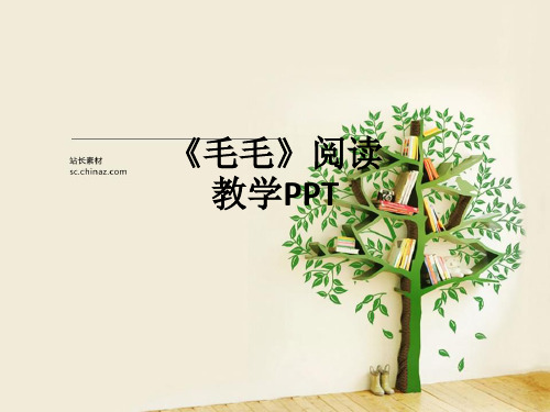 《毛毛》阅读教学ppt课件