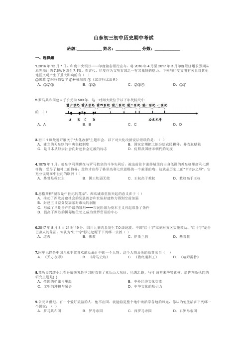 山东初三初中历史期中考试带答案解析

