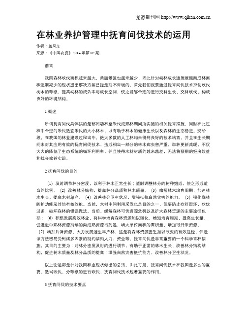 在林业养护管理中抚育间伐技术的运用