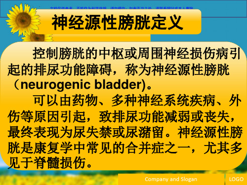 神经源性膀胱护理课件