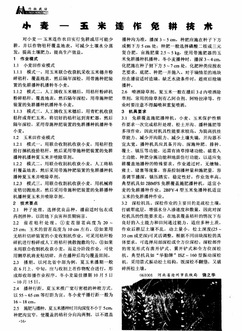 小麦-玉米连作免耕技术