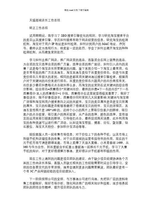 2021年天猫商城店长工作总结