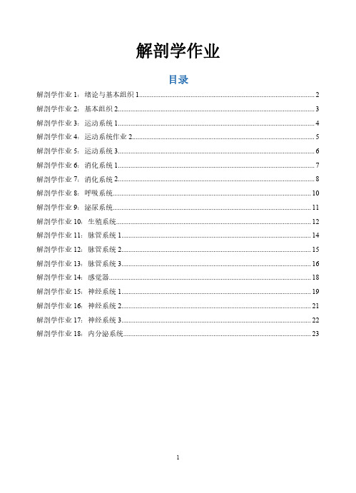 解剖学作业