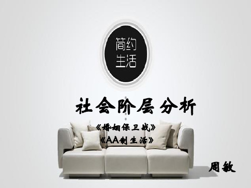 社会阶层分析