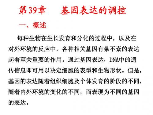 基因表达与调控08