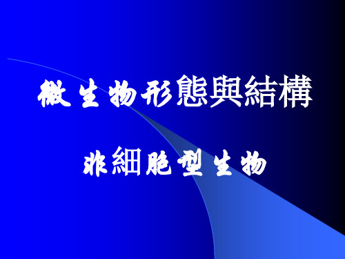 微生物理论课件：非细胞型生物