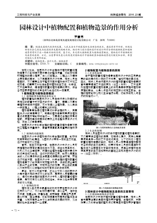 园林设计中植物配置和植物造景的作用分析
