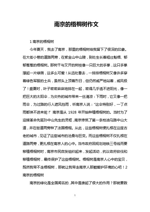 南京的梧桐树作文