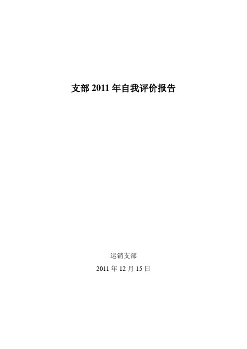 2011年绩效自我评价报告绩效办