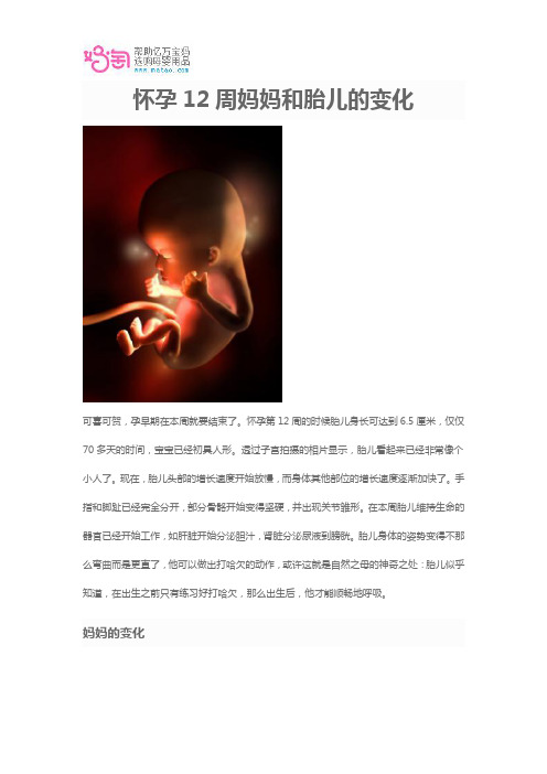 怀孕12周妈妈和胎儿的变化