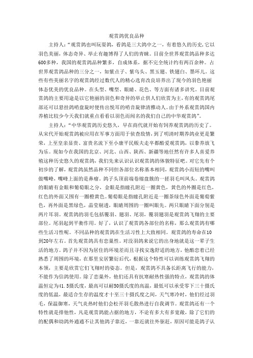 观赏鸽优良品种