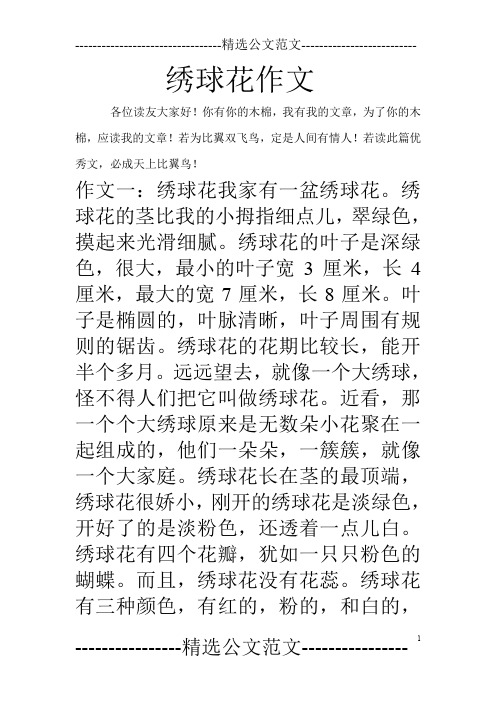 绣球花作文