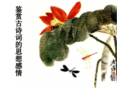 鉴赏古诗词的思想感情汇总