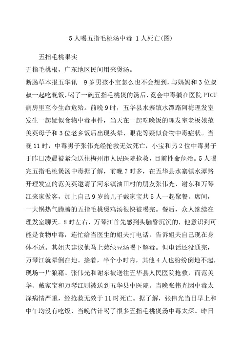 人喝五指毛桃汤中毒 人死亡图