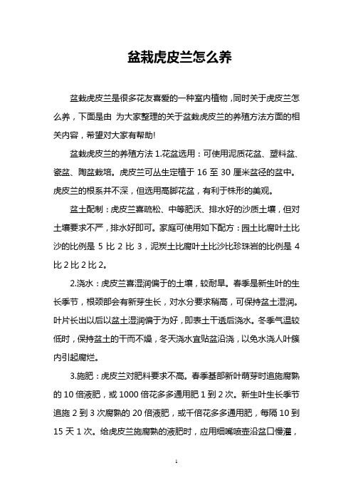 盆栽虎皮兰怎么养
