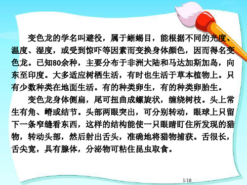 变色龙(组图8张)