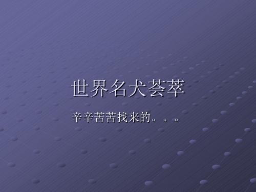 世界名犬荟萃