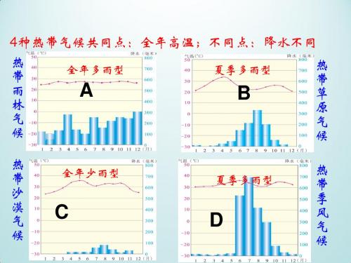 中图版八年级地理上册世界的气候类型第二课时