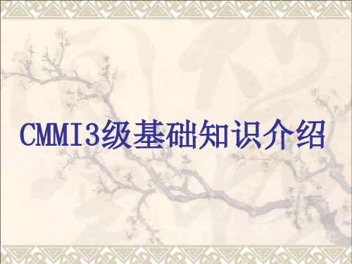 CMMI3_介绍