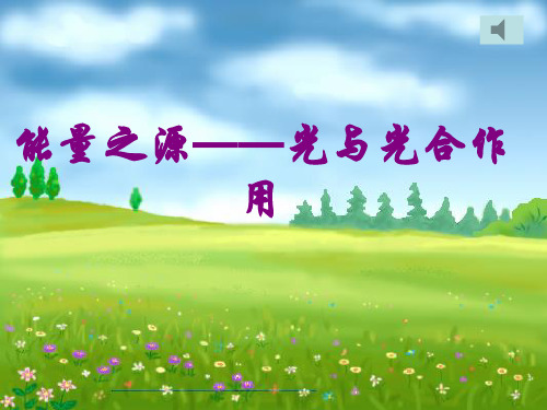 能量之源—光与光合作用PPT教学课件
