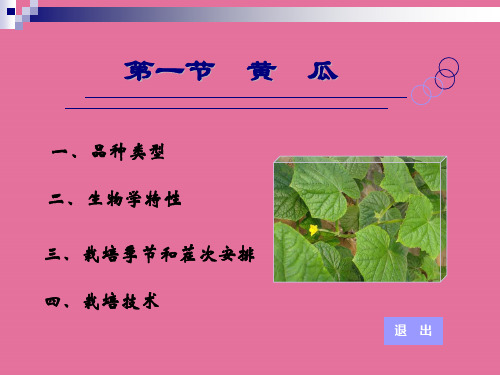 第一节黄瓜ppt课件