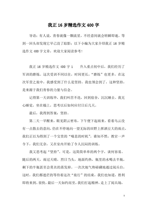 我正16岁精选作文400字