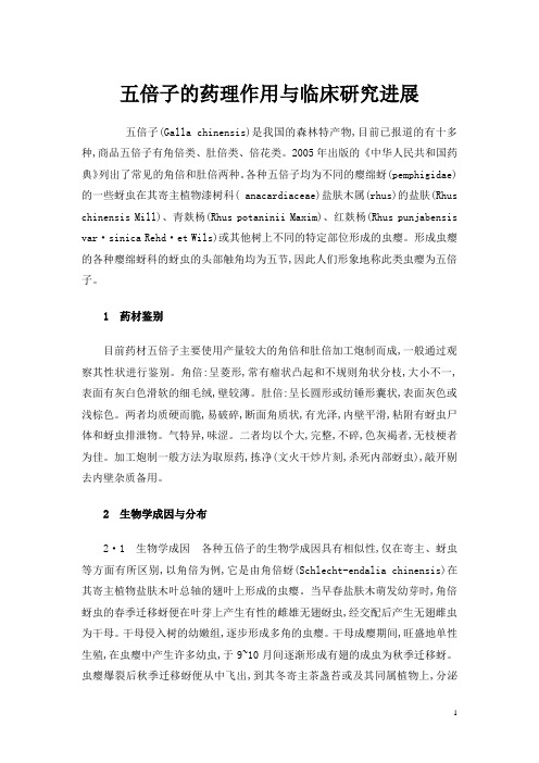 五倍子的药理作用与临床研究进展